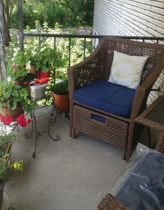 still summer afternoon